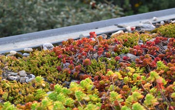 the cost of North Runcton green roof installation