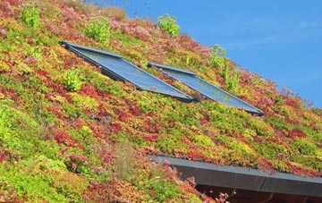 North Runcton living roof systems