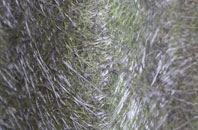 North Runcton fibreglass roof work